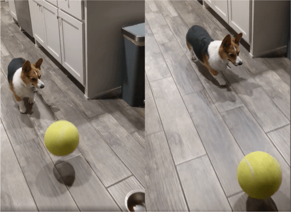 출처: Reddit / '크..큰일난 것 같네..'