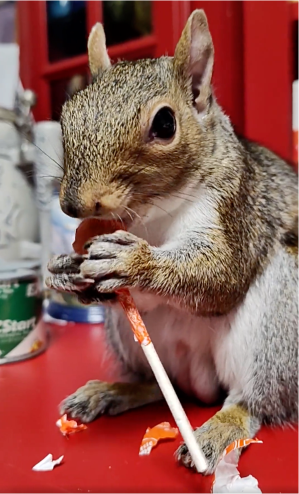 출처: Reddit / "뭐야 맛잇잖아!?"