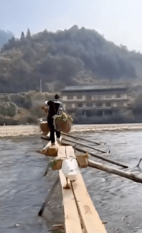 출처 : Reddit / 강을 건너는 주인과 그 뒤를 따르는 거위