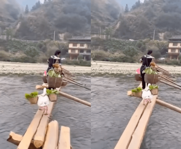 출처 : Reddit / 짐을 들고 가는 거위와 그 앞에서 걷고 있는 주인