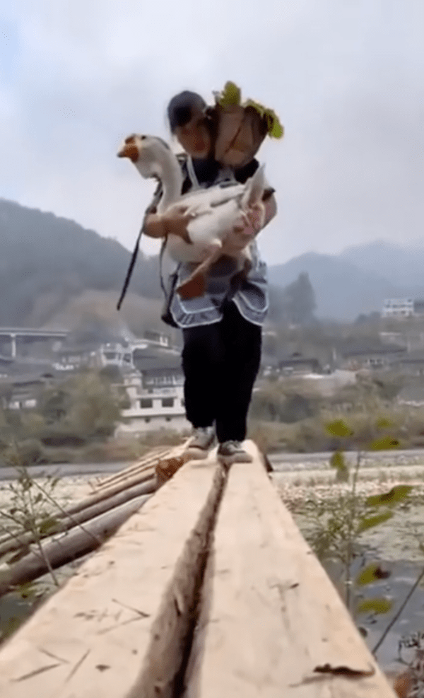 출처 : Reddit / 결국 거위도 짐도 모두 자기가 드는 주인