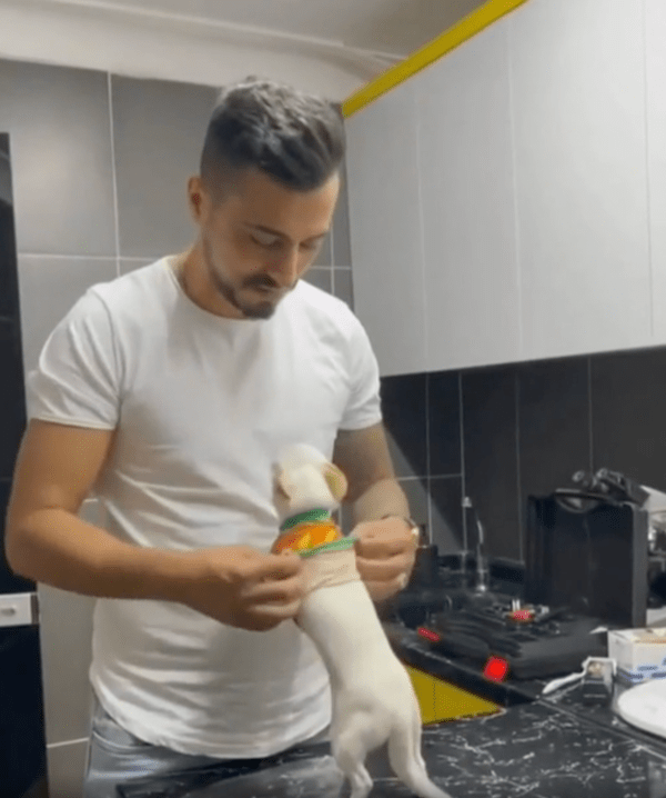 출처 : Reddit / 목욕하기 위해 치와와 옷을 벗겨주는 주인