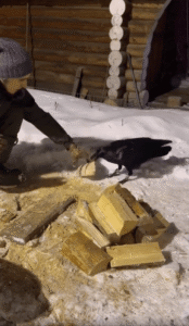 빵 먹으려면 이 정도 노동은 필요한 걸 아는 이 동물의 정체는?