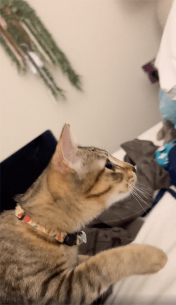 출처: Reddit / "하지만, 내게 후퇴란 없다!"