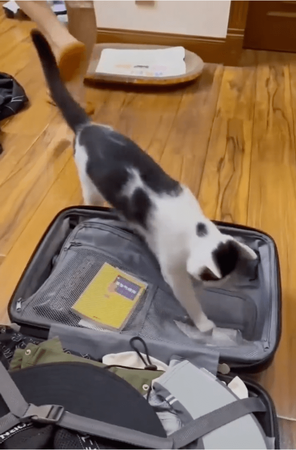 출처: Reddit / "여긴 내 자리야!"