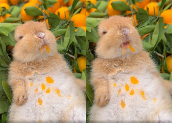 출처: Reddit / '여기가 바로 천국이다.'