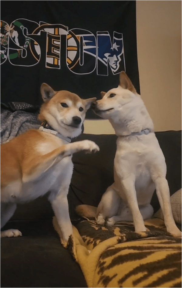 출처: Reddit / "우리는 지금 친해지려는 상호작용 중이야."