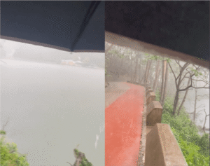 우산 속에서 폭우를 피하는 원숭이 가족