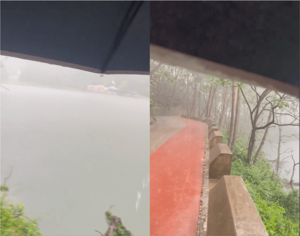 출처: Reddit / 폭우가 내리는 어느 날