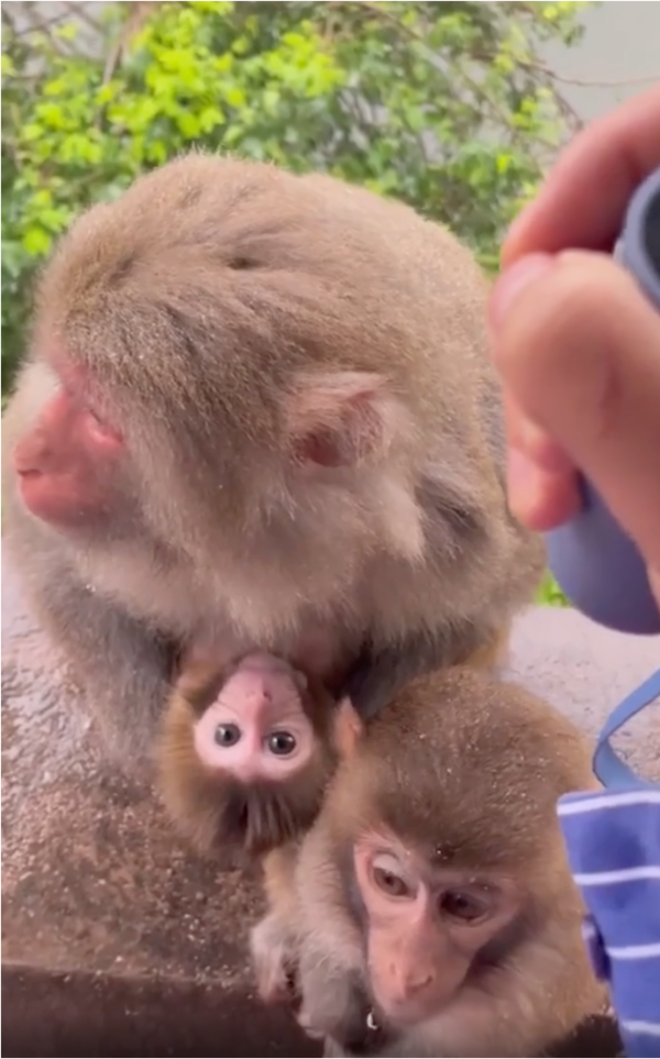 출처: Reddit / '비가 멈춰서 집으로 무사히 돌아갈 수 있으면 좋겠어.'