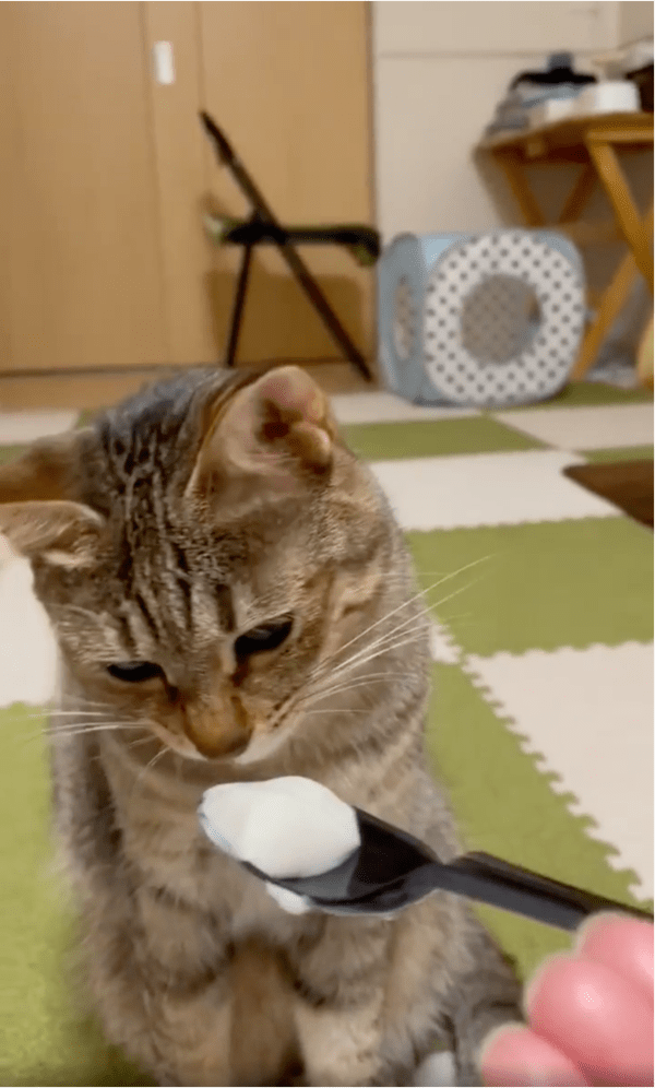 출처: Reddit / '엇 이거 뭔가 이상한데?'