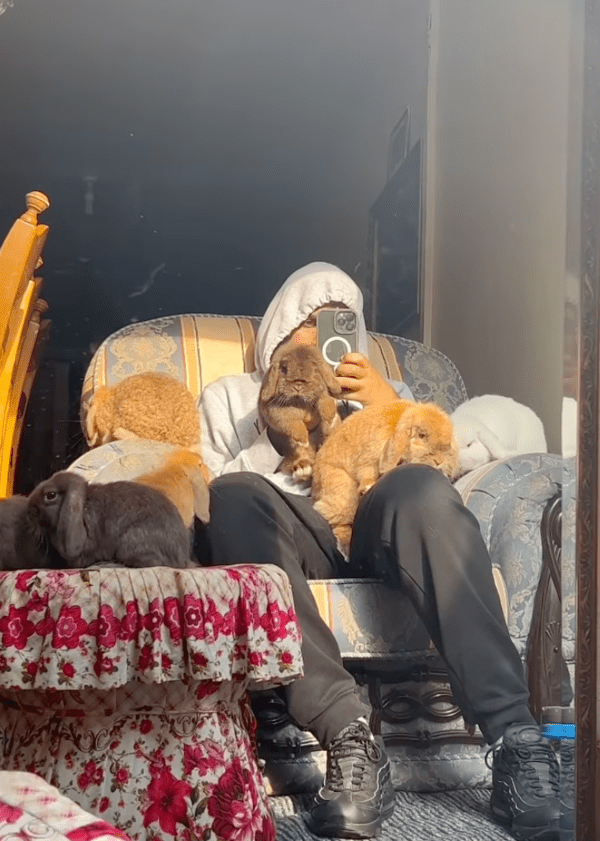 출처 : Instagram @officialaqibra  언제나 아빠 곁을 떠나지 않는 토끼들