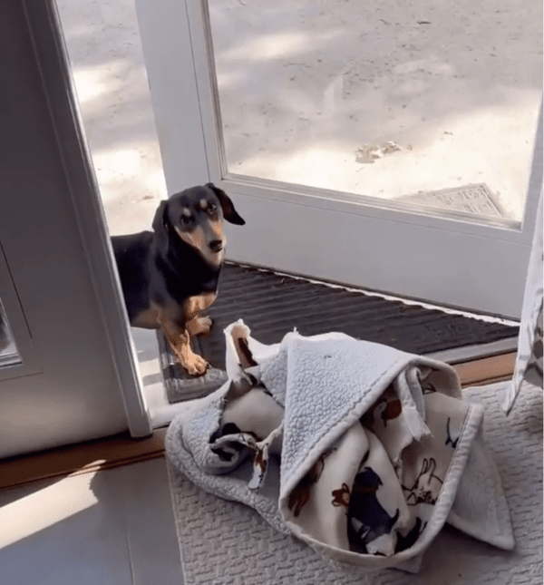 출처: Reddit / '나 좀 도와줄 수 있어?'