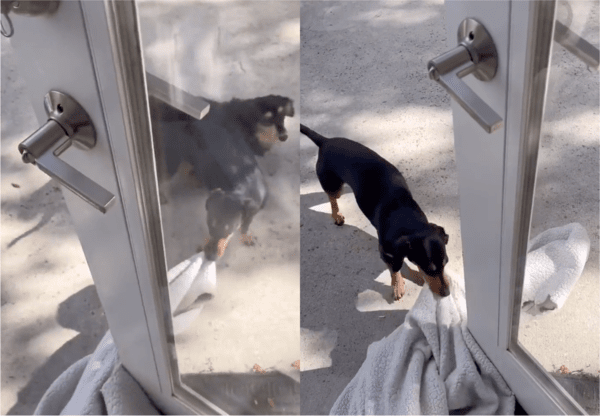 출처: Reddit / '에휴, 그럼 내가 하지 뭐!'