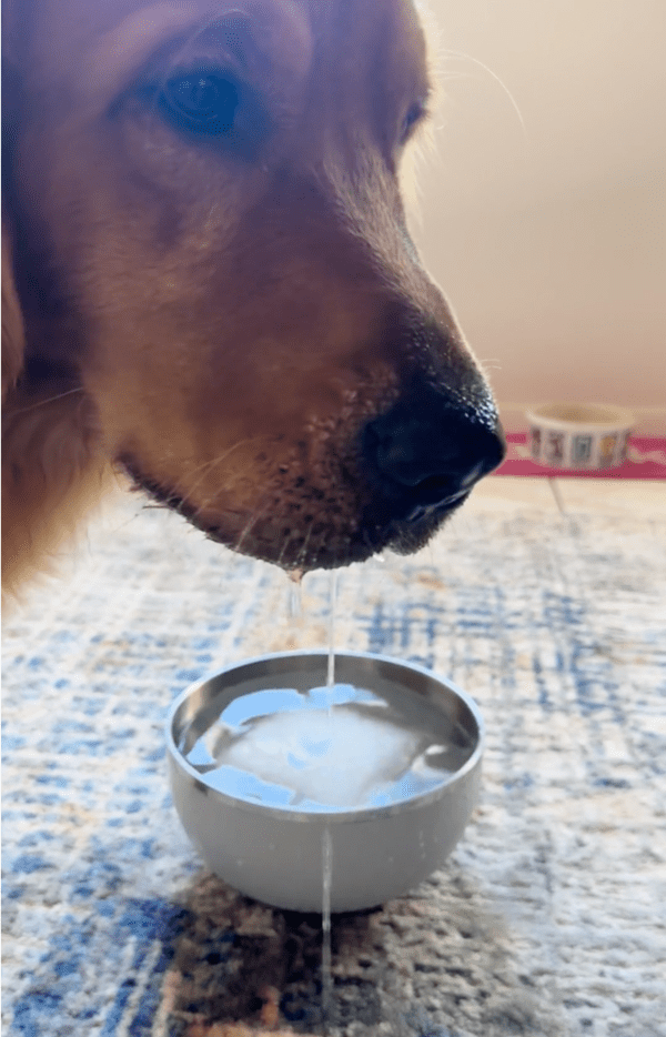 출처: Reddit / '얼음이 안 꺼내져..'