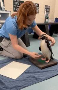 볏왕관펭귄 화가의 그림을 본 사육사의 마음은?