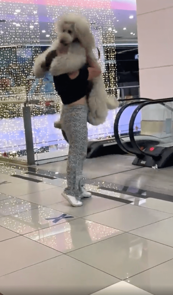 출처 : Reddit / 마치 아기처럼 주인에게 안겨 있는 대형견