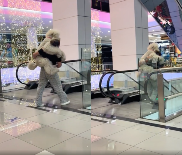 출처 : Reddit / 대형견을 안고 에스컬레이터를 타고 내려가는 주인