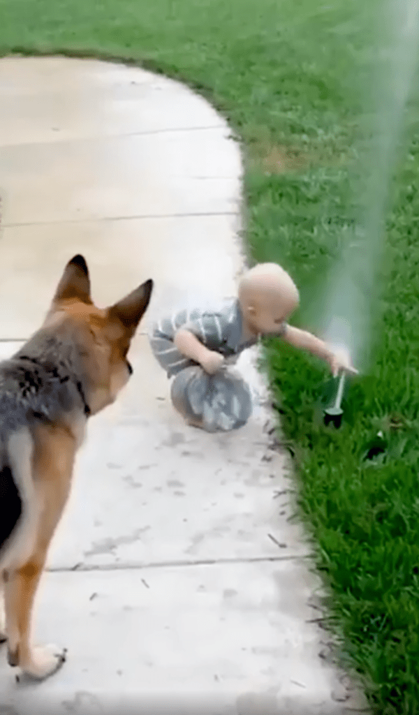 출처 : Reddit / 마당에서 스프링클러로 놀고 있는 아이