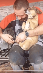 발톱 깎기 싫어서 바들바들 떠는 강아지와 그에 웃음이 터진 주인