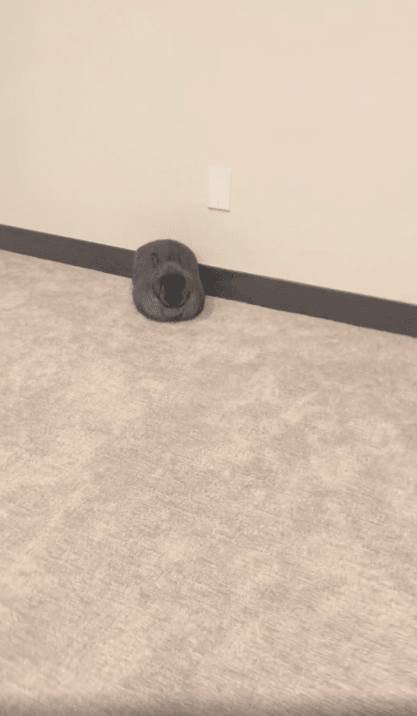 출처 : Reddit / 멀리서 보이는 검은 덩어리의 정체는?