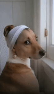 진주의 우아함을 머금은 강아지, 새로운 예술의 아이콘