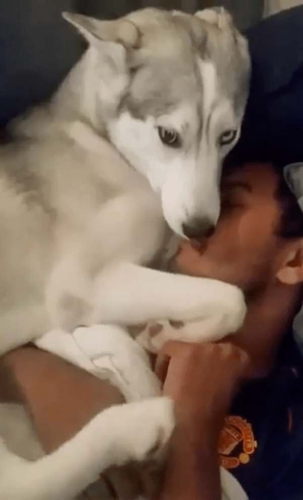 출처 : Reddit / 난 아픈 아빠와 딱 붙어 있을거개~