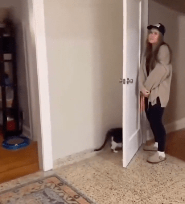 출처 : Reddit / 문 뒤로 꼭꼭 숨었다냥!