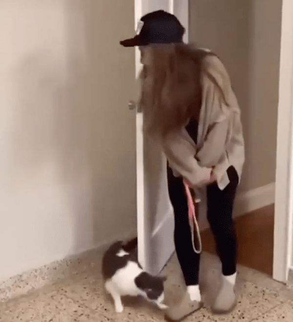 출처 : Reddit / 땡! 이제 주인 차례다냥!