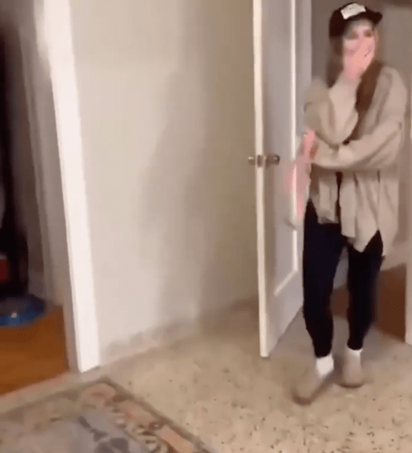 출처 : Reddit / 주인 : 쟤 너무 웃기네~ 또 숨었어!