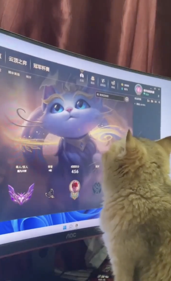 출처 : Reddit / 어쩜 이리 이쁘다냥?