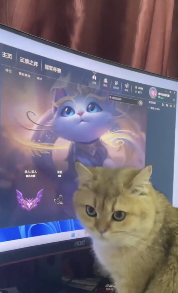 출처 : Reddit / 주인, 유미 너무 이쁘지 않냥?