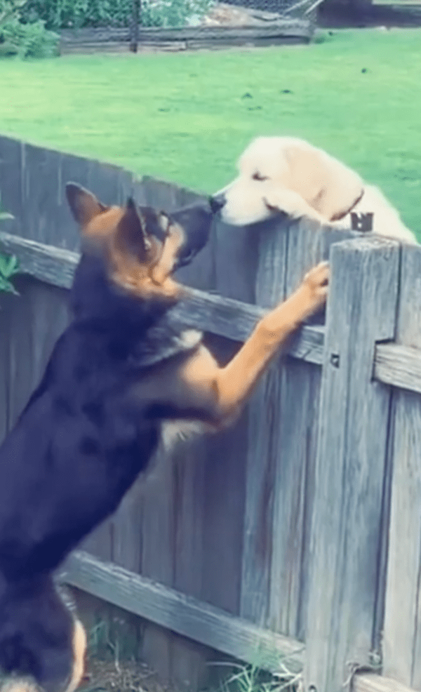 출처 : Reddit / 냄새 좀 맡아보자개~