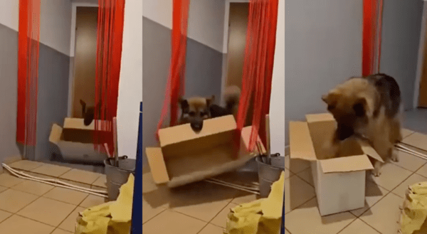 출처 : Reddit / 룰루랄라~ 박스가 너무 좋다개~