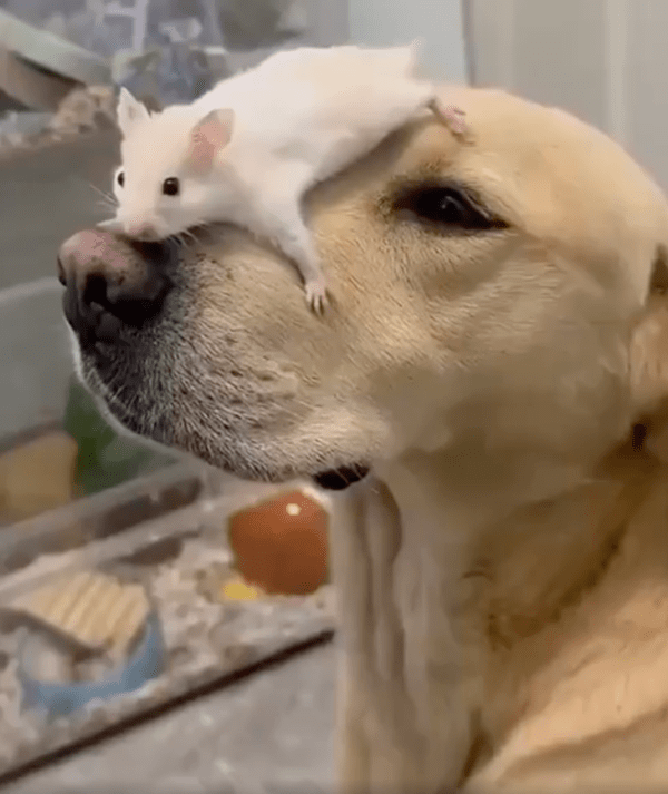 출처 : Reddit / 아 이 안락한 곳은 어디쥐?