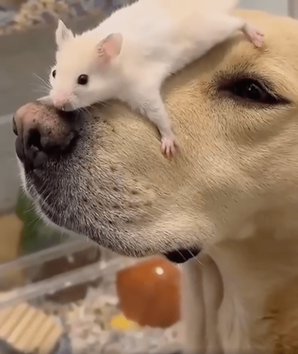 출처 : Reddit / 위 쪽이 좀 촉촉하지만 있을만 하쥐