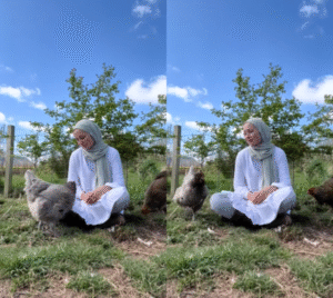 닭과 사람의 따뜻한 교감, 자연 속에서 펼쳐지는 특별한 순간