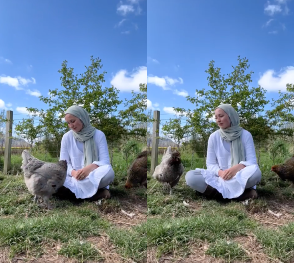 출처 : Reddit / 땅 위에 앉아 닭을 부르는 사람