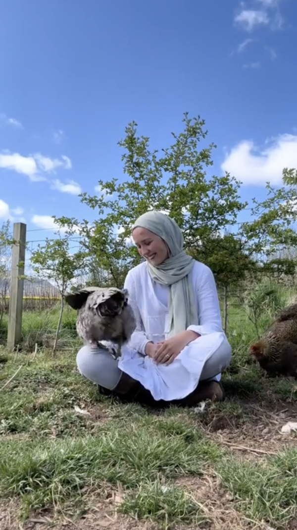 출처 : Reddit / 사람의 무릎 위로 올라가는 닭