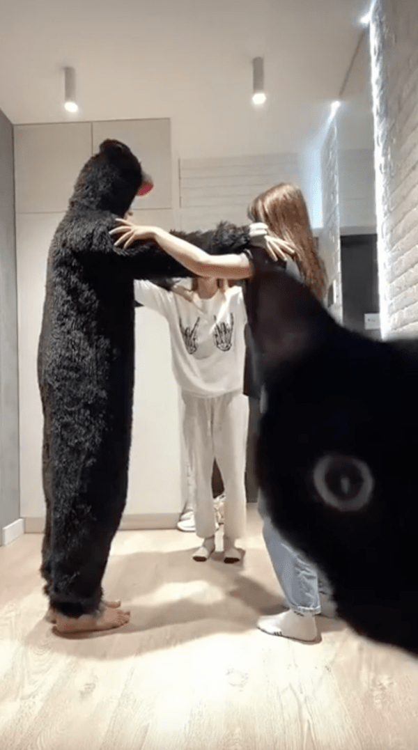 출처 : Reddit / 카메라로 다가오는 한 검은 고양이