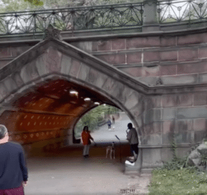 센트럴파크에서 펼쳐진 달마시안의 즉석 음악회