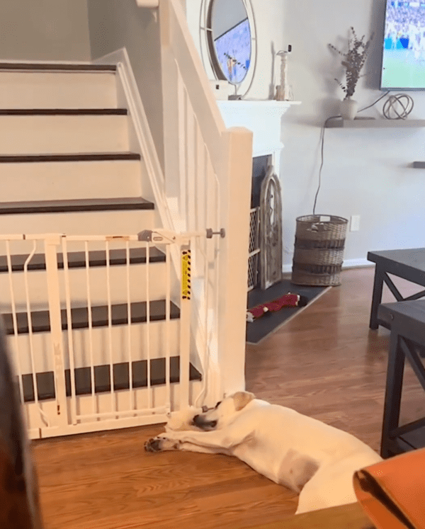 출처 : Reddit / 결국 닫혀버리는 문