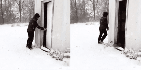 출처 : Reddit / 주인이 문을 열자 한 마리씩 나오는 오리들