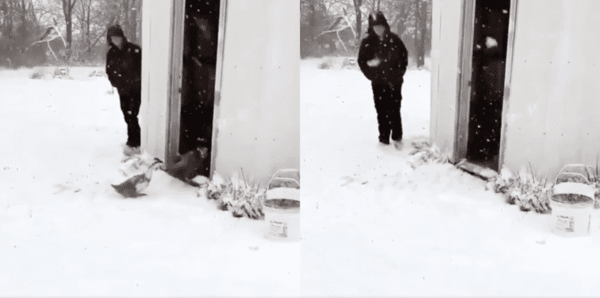 출처 : Reddit / 실제로 들어가기 위해 엄청난 속도로 들어가는 오리들