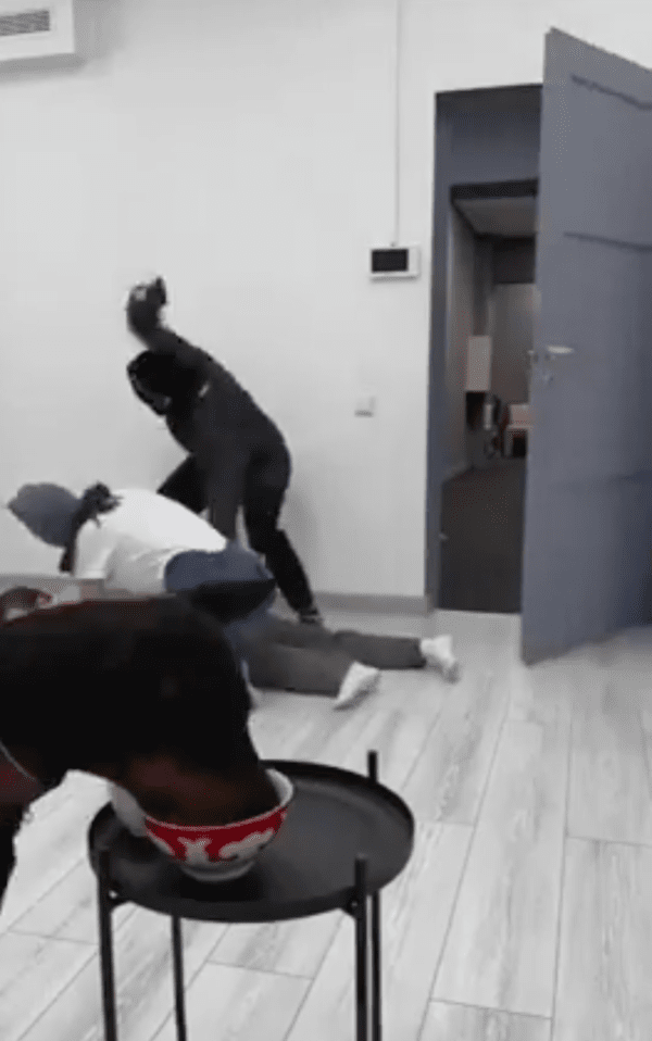 출처 : Reddit / 상황극인 걸 아는 걸까? 주인을 구하러 가지 않는 도베르만