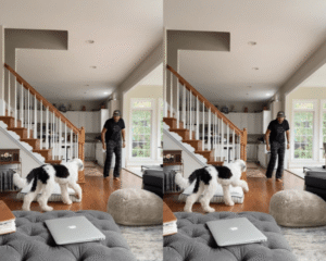 천천히 다가가 서로의 마음을 안 강아지와 주인의 특별한 순간