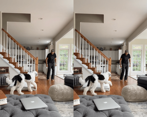 출처 : Reddit / 서로에게 다가가는 올드 잉글리쉬 쉽독과 주인