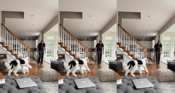 출처 : Reddit / 서로에게 아주 천천히 다가가는 강아지와 주인