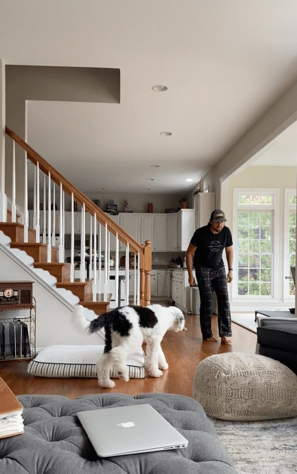 출처 : Reddit / 가까이 다가가도 천천히 움직이는 강아지와 주인