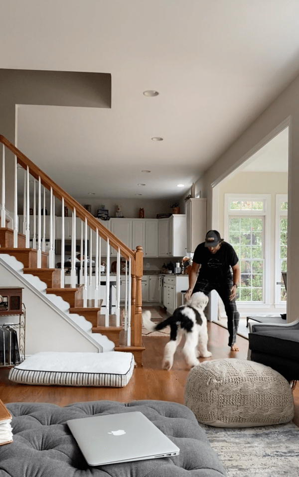 출처 : Reddit / 뛰어오는 강아지를 안아주려는 주인